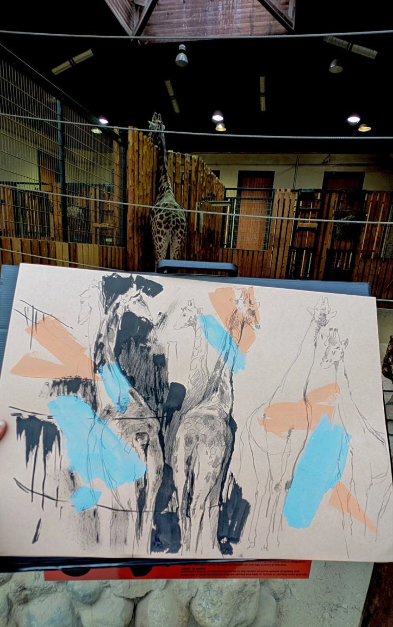 “Sketch 51. Zoo Gdansk”, 2025, ink, pencil, acrylic on color paper, 35x50 cm, Tetiana Ocheredko - Image 3