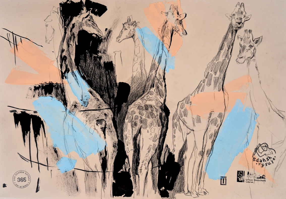 “Sketch 51. Zoo Gdansk”, 2025, ink, pencil, acrylic on color paper, 35x50 cm, Tetiana Ocheredko